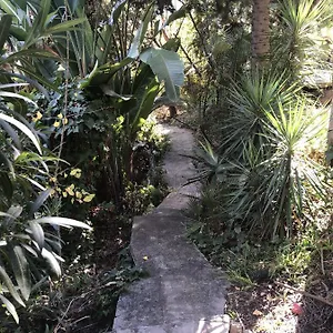 Pensión Casa Simba (adults Only), Estepona
